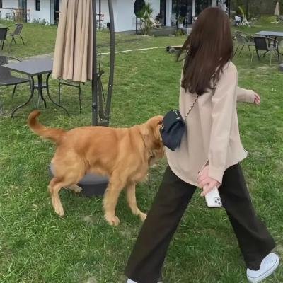 铁证悬案第一季